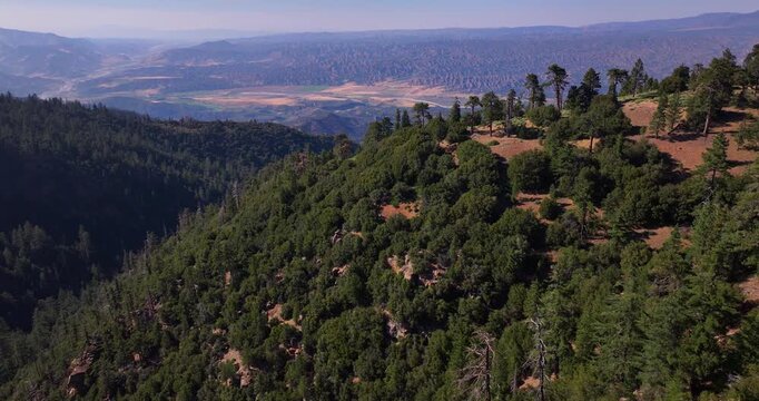 California Mountain Peak Forest and Trees Aerial Video 