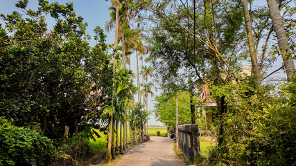 Fototapeta premium Scenic rural pathway through lush greenery in West Bengal, ideal for travel concepts and exploring nature during holidays