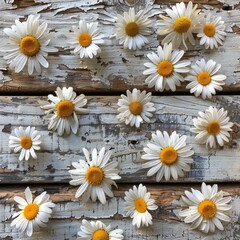 Obraz premium Daisy Atop a Rustic Wooden Background, Capturing the Essence of Spring in a Natural Aesthetic Overhead View