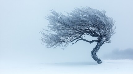 Fototapeta premium Twisted tree standing against harsh winds and snow in a fierce blizzard.