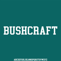 VINTAGE RETRO WITH GRUNGE TEXTURE vector font alphabet set