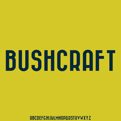 VINTAGE RETRO WITH GRUNGE TEXTURE vector font alphabet set