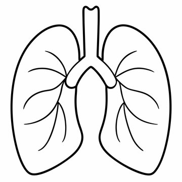recommend clip art: The heart in the middle of the lungs illustration line art