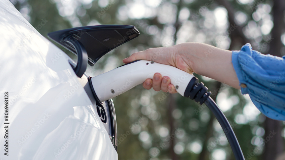 Wall mural closeup woman recharge ev electric car's battery at parking lot in natural green park. clean energy 