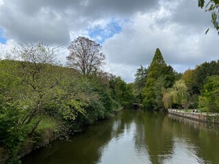 Fototapeta premium landscape with river and trees