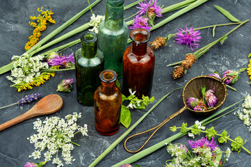 Bottles of tincture, medicinal herbs