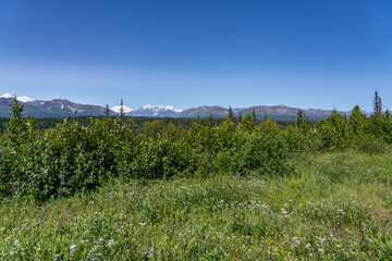 Obraz premium Denali View North, Denali State Park, Alaska 