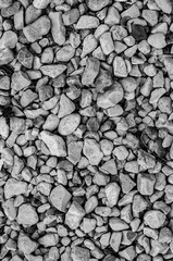 pebble background with various colors