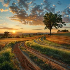 Sweeping Panoramic View of a Field with Trees and Earthy Textures at Sunset, Capturing the Serene Beauty of Nature's Twilight