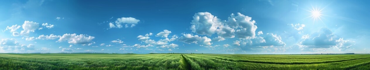 Fototapeta premium Sweeping Panorama of a Beautiful Blue Sky with Fluffy Clouds Over a Lush Green Field Landscape