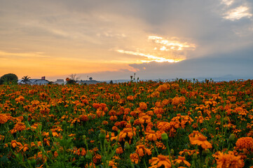 Conjunto de paisajes, monumentos y espacios de México
