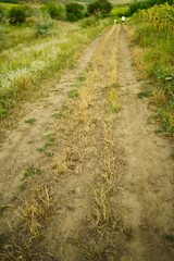 Path in a village in Eastern Europe 