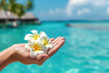 Tropical frangipani flowers in woman hand with tropical resort on background