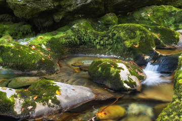 Schwarzenbach im Herbst