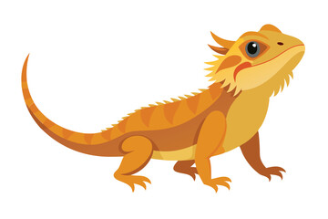 Bearded dragon animal flat vector illustration on white background 