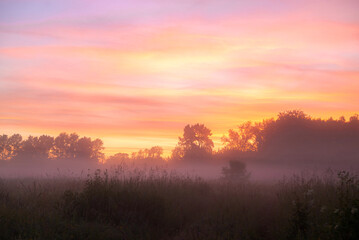 Dawn fog