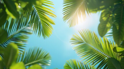 Fototapeta premium Upward view of lush palm leaves against a bright blue sky, capturing the essence of tropical nature and sunlight.