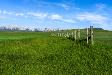 The Rocky Mountain Foothills landscape view from highway 22 south of Calgary