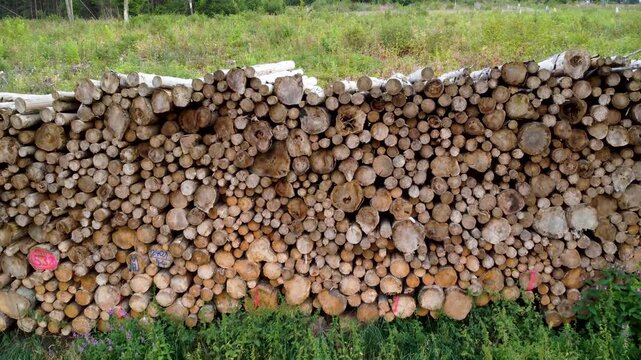 Drohnenaufnahme von Holzstapel und gerodetem Wald in Hessen, Deutschland