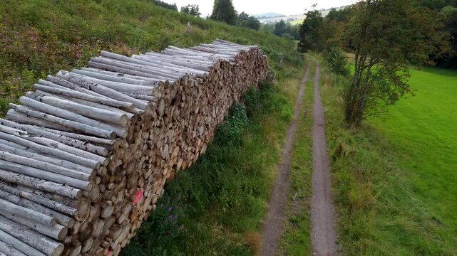 Drohnenaufnahme von Holzstapel an Feldweg in Hessen, Deutschland