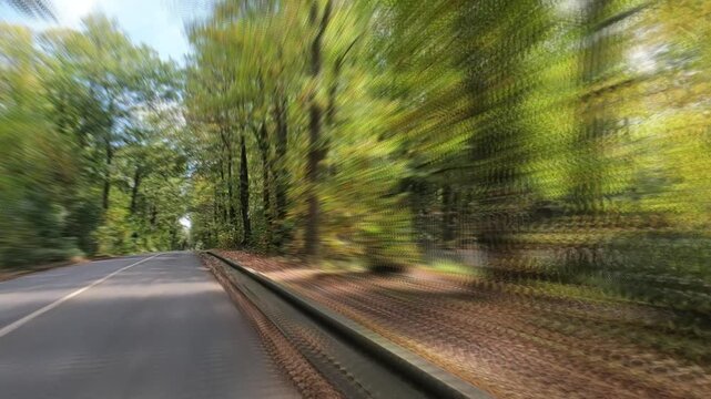 Rouler en voiture sur une route en for&ecirc;t un jour ensoleill&eacute;, avec effet de flou cin&eacute;tique prononc&eacute;, 119,88fps sans ralenti - 59,94fps	