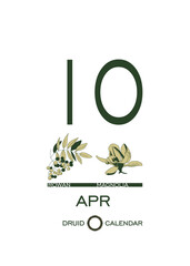 Druidic plant calendar of trees and flowers. Celtic astrological horoscope. Eco design for natural decor