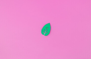 Green mint leaf made from cutout paper on pink background