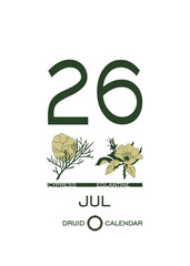 Druidic plant calendar of trees and flowers. Celtic astrological horoscope. Eco design for natural decor