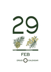 Druidic plant calendar of trees and flowers. Celtic astrological horoscope. Eco design for natural decor
