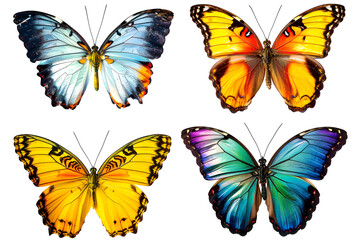 Set of colorful butterfly isolated on transparent background. PNG, cutout. Clipart collection of bright butterflies with beautiful wings. © AnaWein