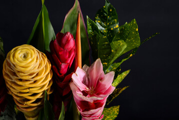 Bright arrangement of tropical exotic flowers and leaves on black. Elegant collection of unusual long-lasting hot climate flowers guzmania, strelitzia, bromeliad, heliconia, Crotón, sansevieria © Tatiana