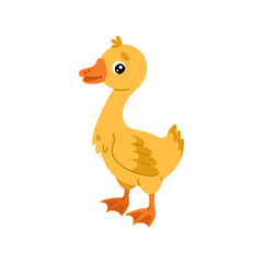 Farm cartoon gosling. Small baby goose. Colored cute farm bird. Vector colorful illustration isolated on white background.