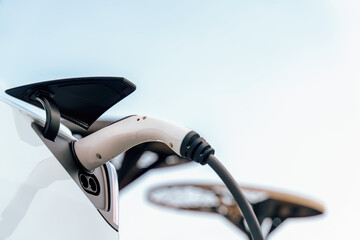 Closeup EV charger handle plugged in or connect to electric car, recharging EV car battery with...