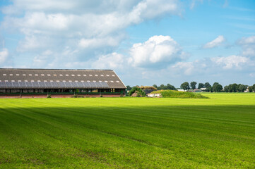 Green agriculture meadows with a shed for cattle at the Dutch countryside around Landhoprst, North...