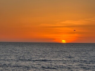 sunset on the sea