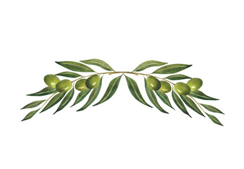 Watercolor olive branch composition For olive oil logo, postcard, greeting card, design wedding invitation decoration Italian food Organic Natural Botanical green illustration