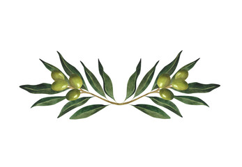 Watercolor olive branch composition Green illustration For olive oil logo postcard poster print invitation pre made design wrapping paper wallpaper decoration Italian plant Organic Natural Botanical
