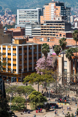 Medellin, Antioquyia, Colombia. January 17, 2024: Antioquia Museum and palm trees.