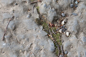 Gray stone blocks with soil and plants.

