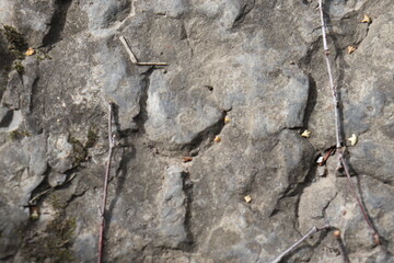 Gray stone blocks with soil and plants.

