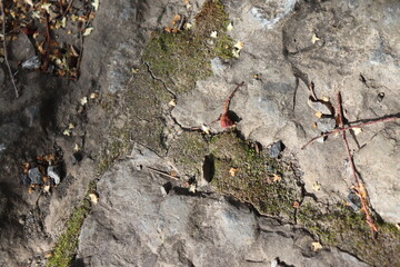 Gray stone blocks with soil and plants.

