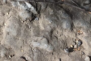 Gray stone blocks with soil and plants.


