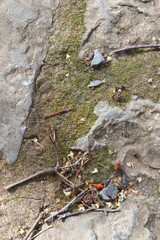 Gray stone blocks with soil and plants.

