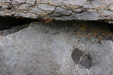 Gray stone blocks with soil and plants.

