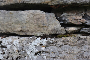 Gray stone blocks with soil and plants.

