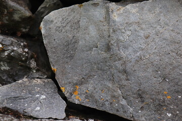 Gray stone blocks with soil and plants.

