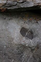 Gray stone blocks with soil and plants.

