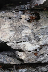 Gray stone blocks with soil and plants.

