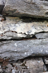 Gray stone blocks with soil and plants.

