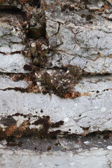 Gray stone blocks with soil and plants.

